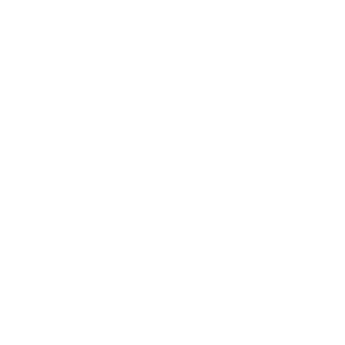 SafyPower logo